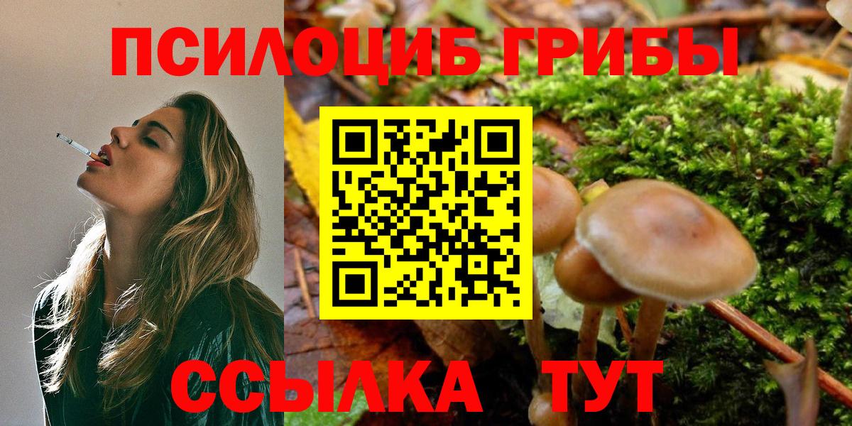Псилоцибиновые грибы прущие грибы Камышлов