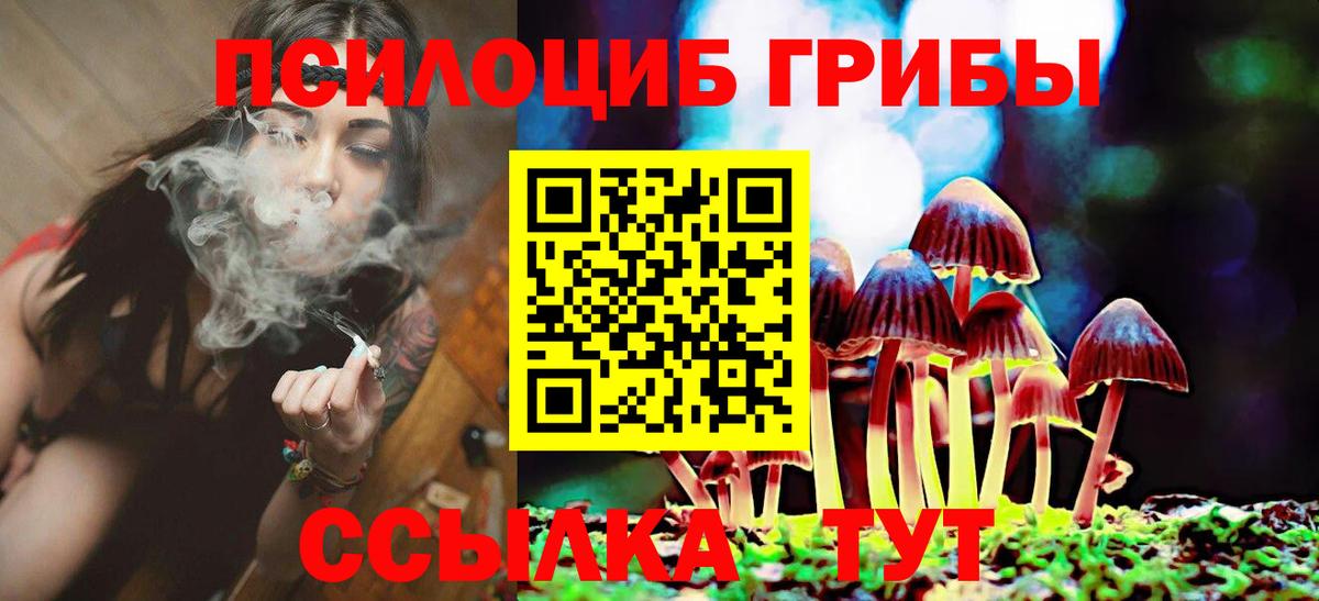 Псилоцибиновые грибы GOLDEN TEACHER  Вход с VPN  Камышлов 
