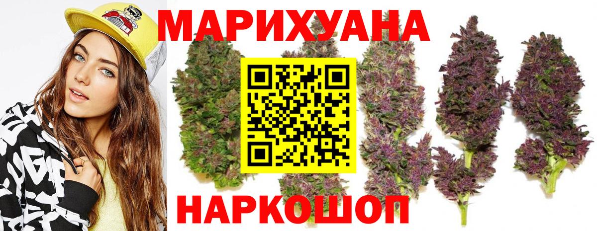 Каннабис план Камышлов